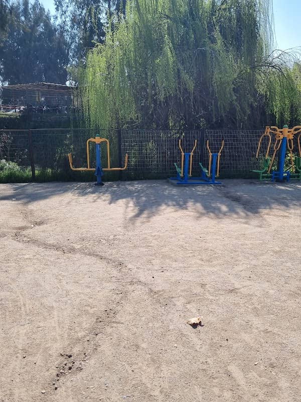 Sauce Park - Image 1