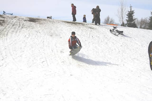 Dinosaur Sledding Hill - Image 1