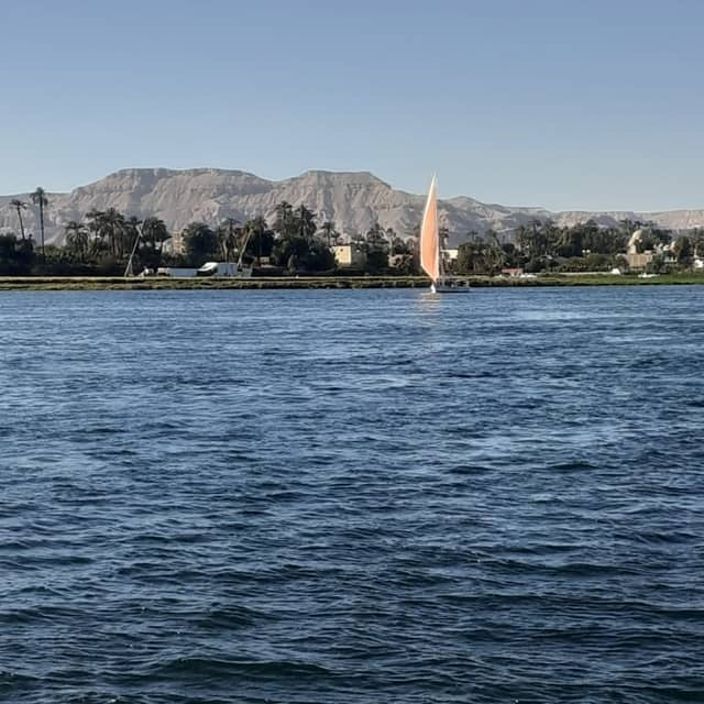 Mamoud's Felucca Trips - Image 3