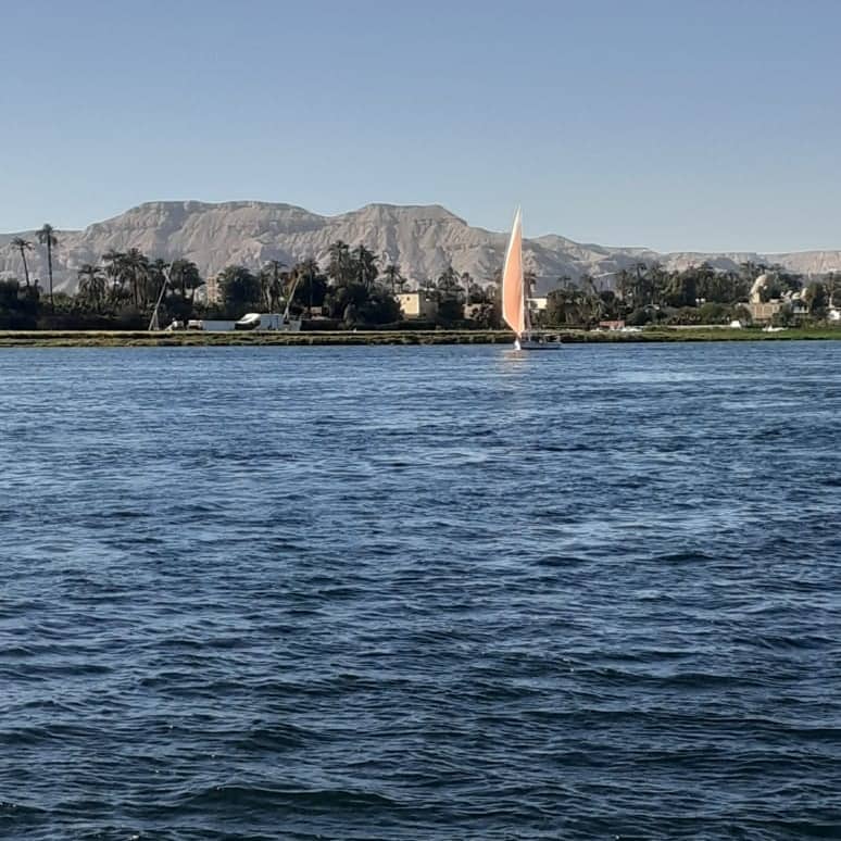 Mamoud's Felucca Trips - Image 3