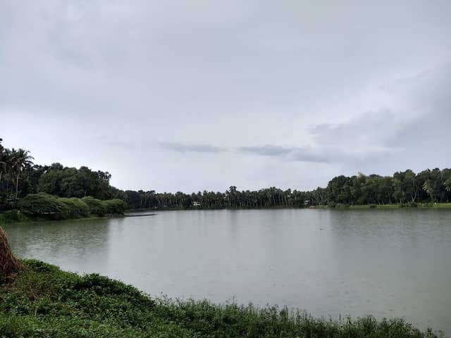 Valiyakulam Pond, Chenkal, Neyyattinkara - Image 1