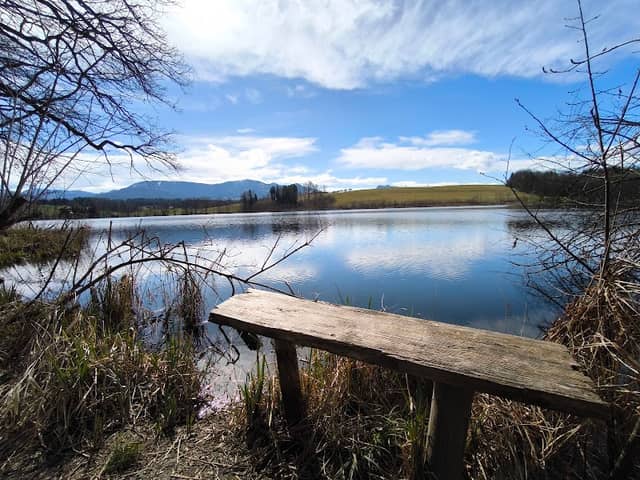 Aussichtsbank am See - Image 1