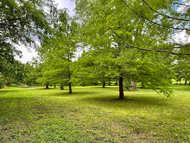 Delaware River Tree Park - Image 1