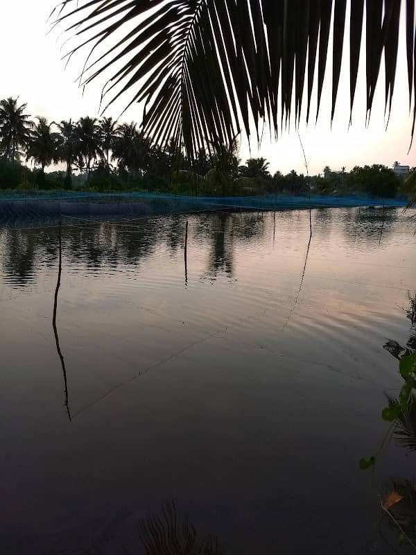 Kandakkadavu View Point - Image 1