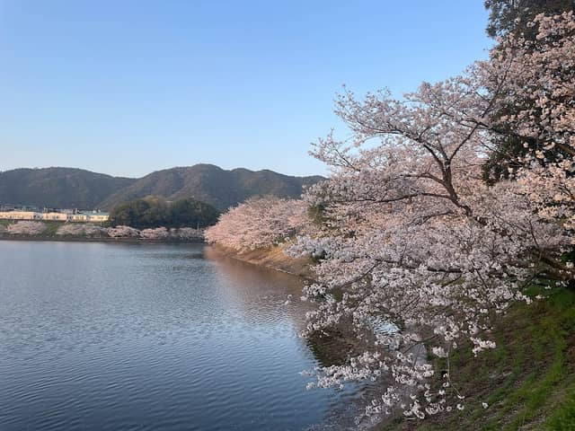 立岡池 - Image 1
