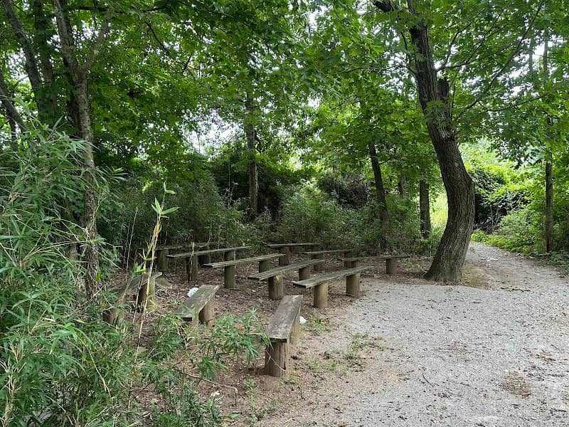 Jeffers Bend Recreation Area - Image 2