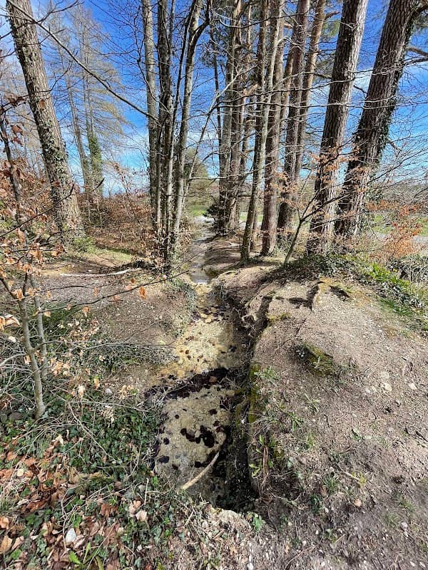 Source de la Venoge - Image 1