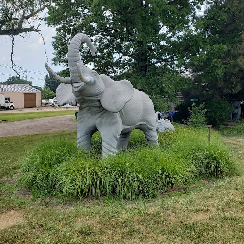 Judy's Jungle - Image 1