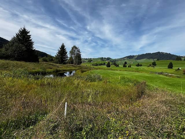 Barfussweg - Image 2