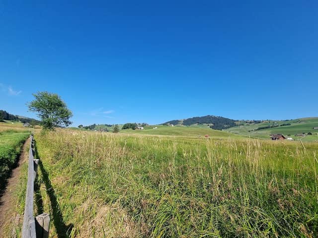 Barfussweg - Image 1