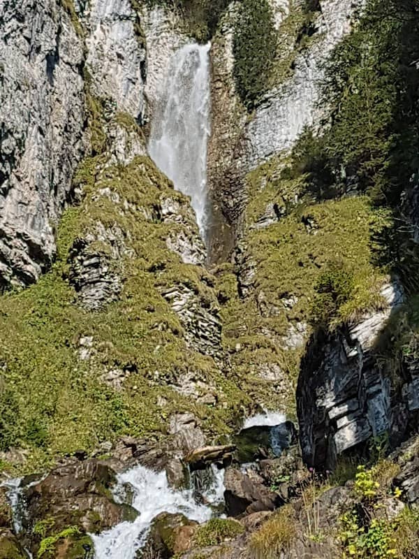 Zwergenbadi - Image 2