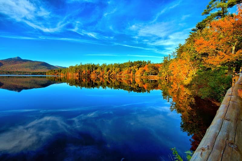 The Grove (Chocorua Lake Conservancy) - Image 1