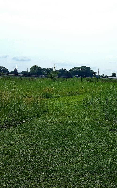 PHS Pollinator Habitat - Image 1
