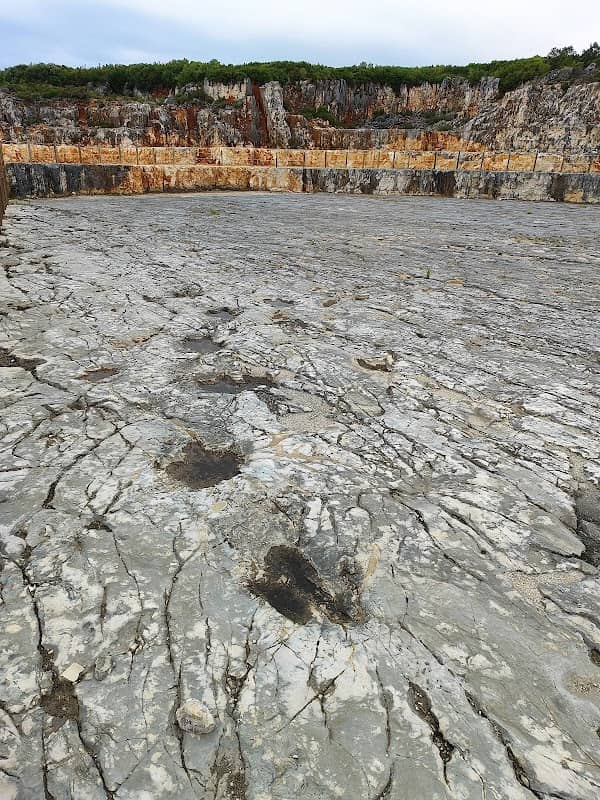 Salir do Porto dinosaur trackways - Image 1