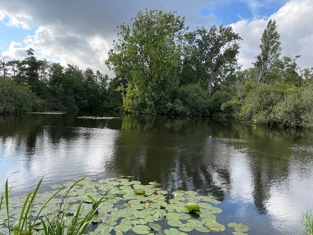 Oosteinderpoel - Image 2