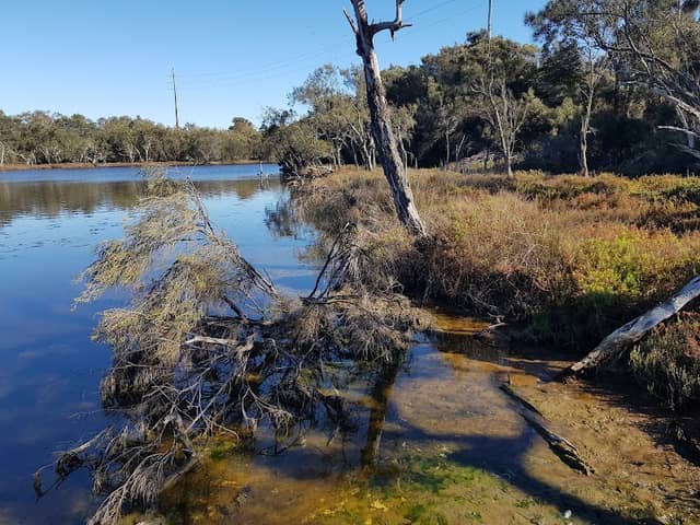 Koolyanga Reserve - Image 1