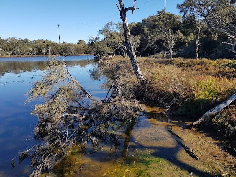Koolyanga Reserve - Image 1