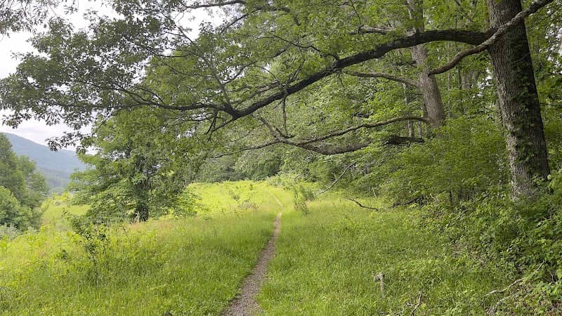 Brookshire trail - Image 2