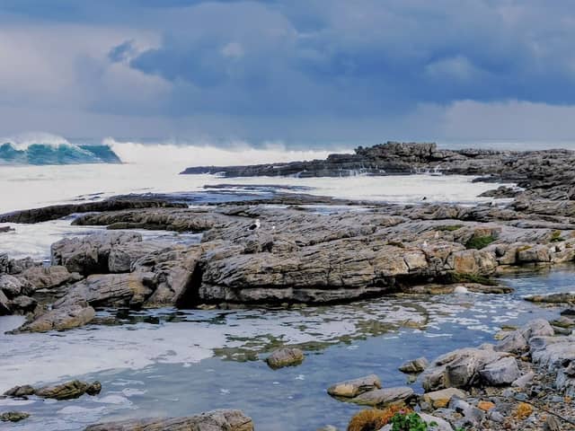 Whale Rock - Image 1