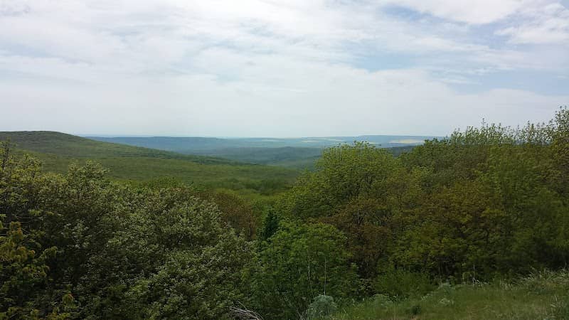 Les Tatarskiy, Grushevaya Balka - Image 1