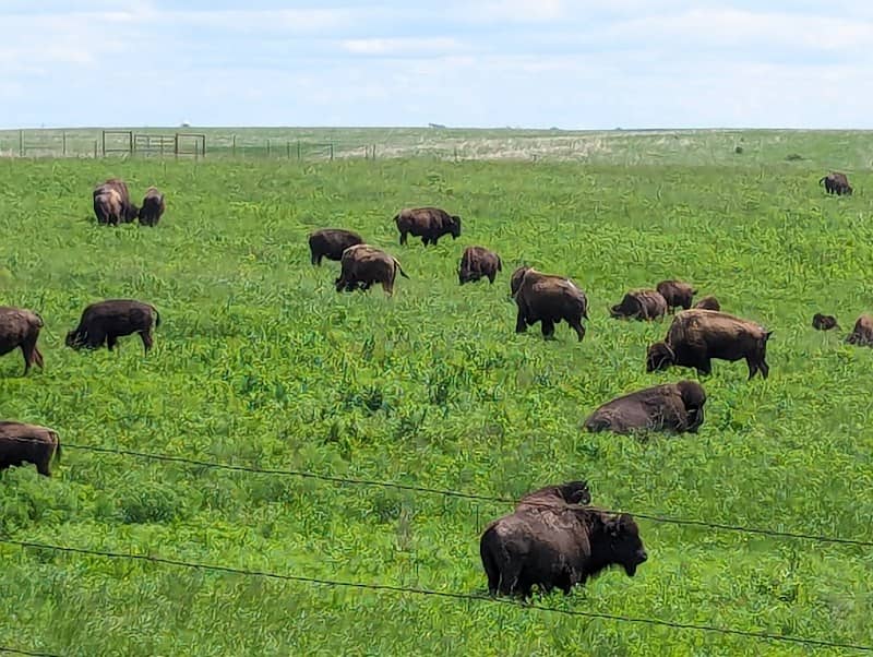 Dunn Ranch Prairie - Image 1