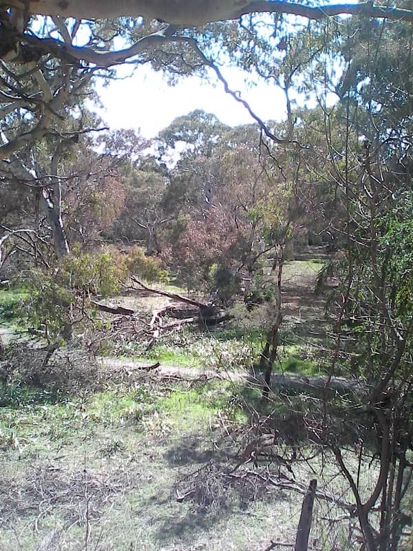 Masonic Gardens - Image 2