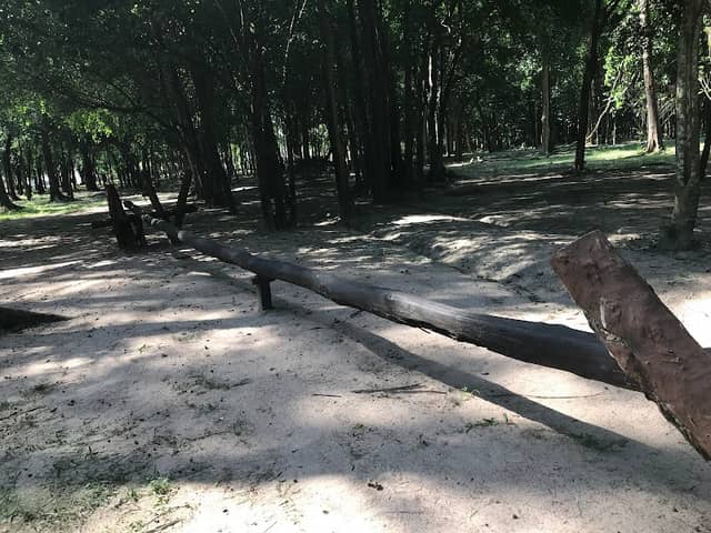 Nong Ta Yu Arboretum - Image 2