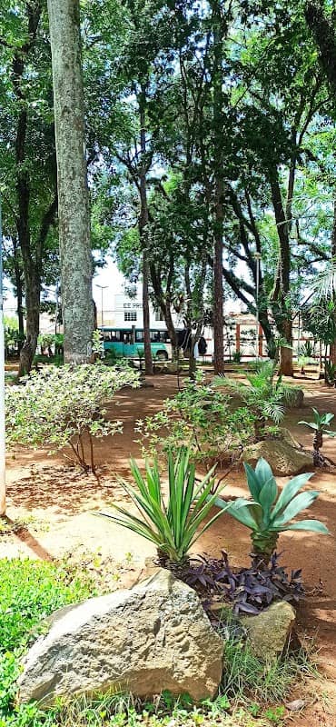 Praça João Pinheiro - Image 1