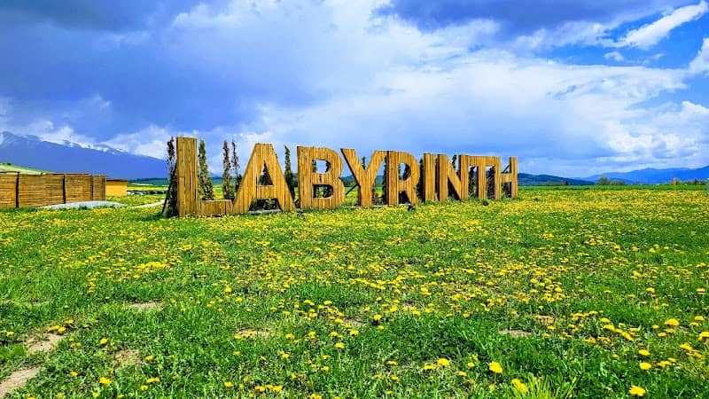 LABYRINTH - Image 1
