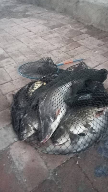 KOLAM PANCING SUMUR TIBAN CITY - Image 2