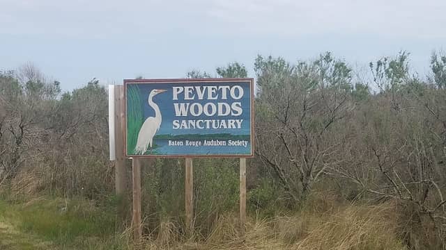 Peveto Woods Bird & Butterfly Sanctuary - Image 1