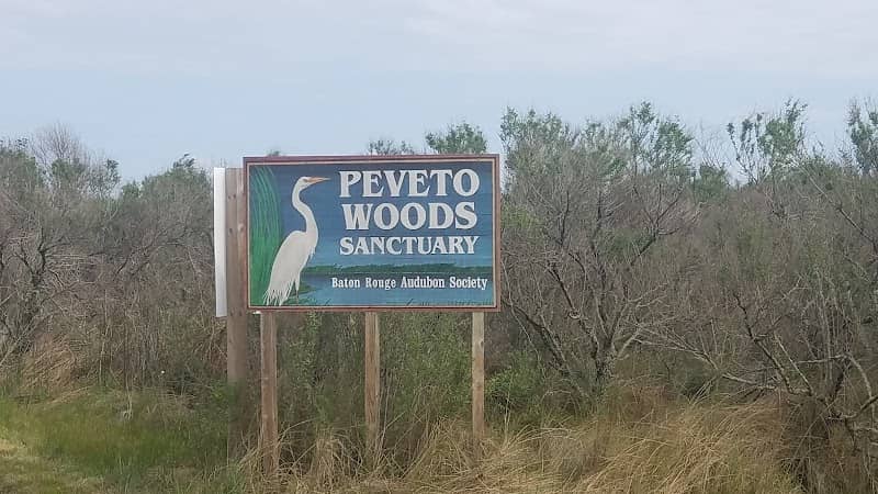 Peveto Woods Bird & Butterfly Sanctuary - Image 1