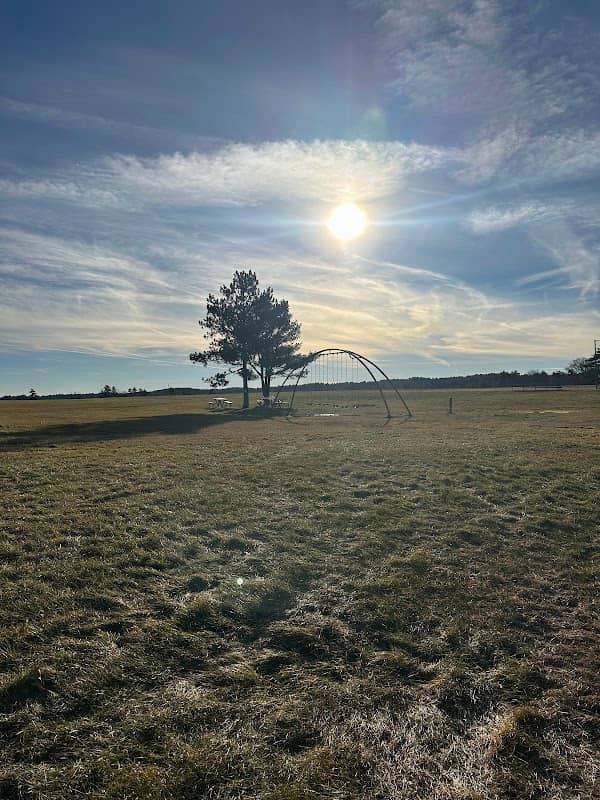 Lakeview Fields - Image 2