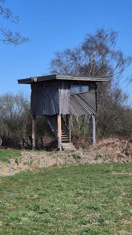 Beobachtungsturm - Image 1