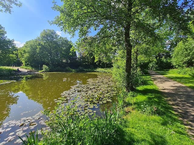Teich - Image 1