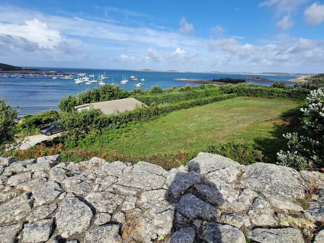 Harry's Walls - Image 2