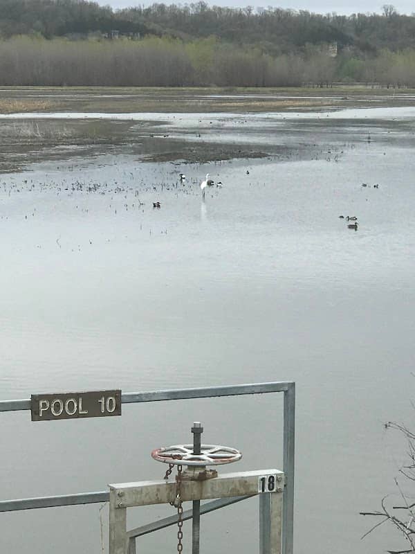 Eagle Bluffs Wildlife Conservation - Image 3