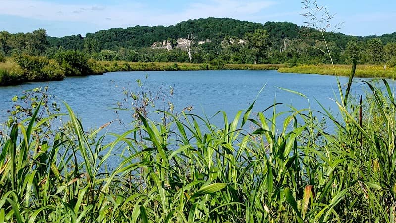 Eagle Bluffs Wildlife Conservation - Image 1