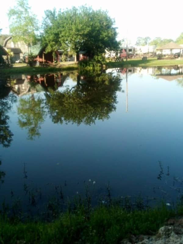 Bay St Louis Campground - Image 1