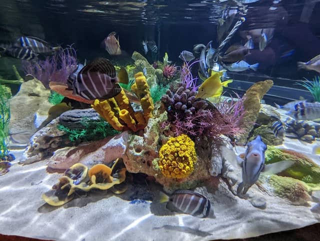 Sharkbait Reef - Image 1