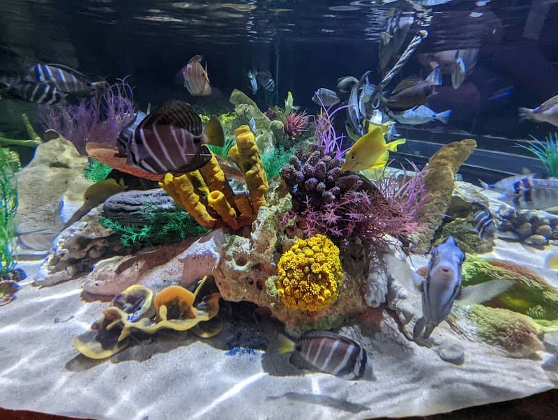 Sharkbait Reef - Image 1