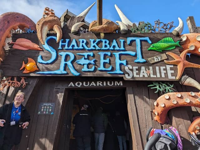 Sharkbait Reef - Image 2