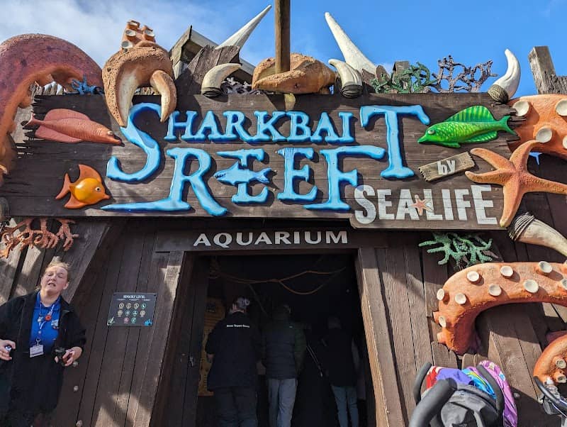 Sharkbait Reef - Image 2