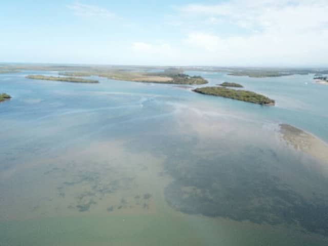 Cabbage Tree Point Conservation Park - Image 2