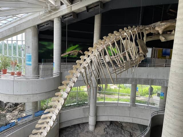 Science North - Image 2