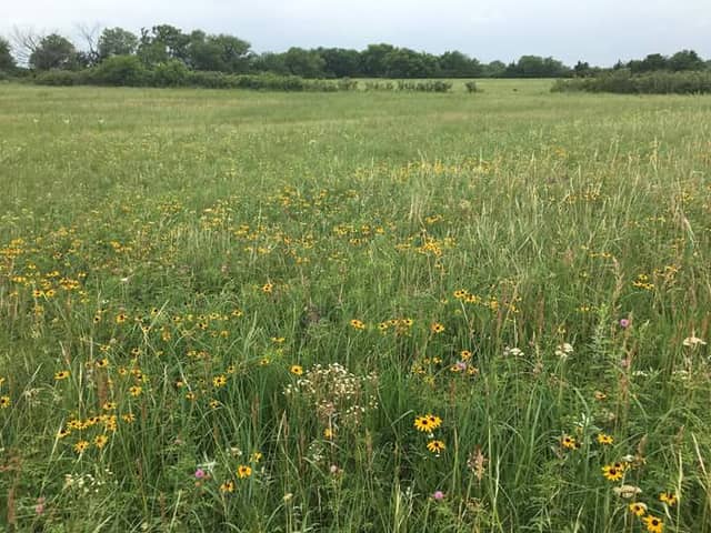 Fertig Tallgrass Prairie - Image 1