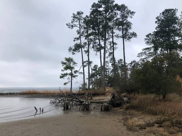 Black Point Trail, Williamsburg, VA 23185 - Image 2