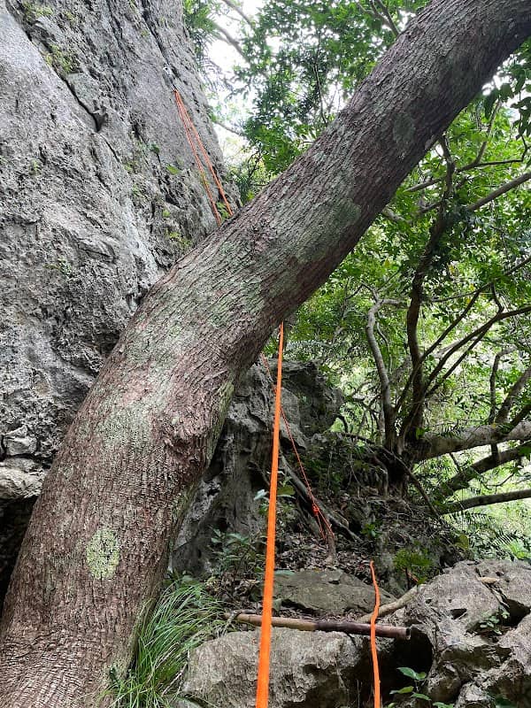 Katsuyama climbing Area - Image 1