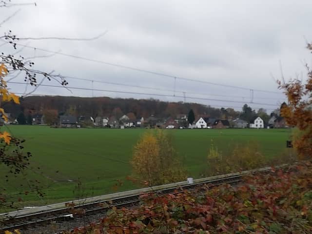 Selmigerheide - Image 1