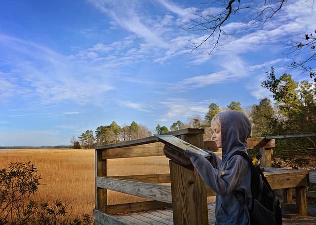 York River State Park - Image 1